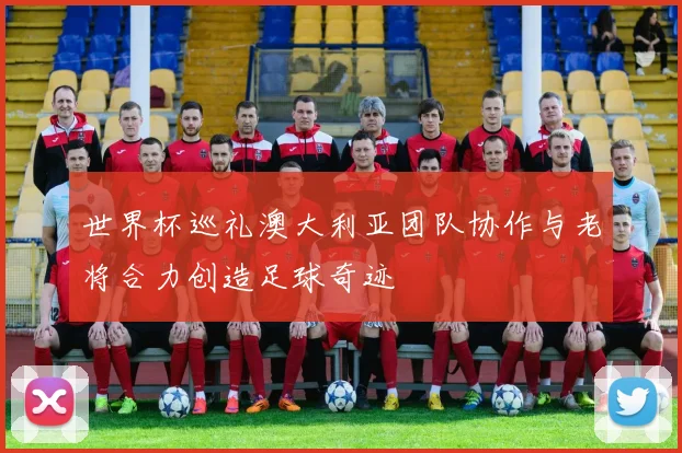 世界杯巡礼澳大利亚团队协作与老将合力创造足球奇迹