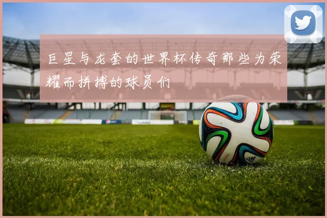 巨星与龙套的世界杯传奇那些为荣耀而拼搏的球员们