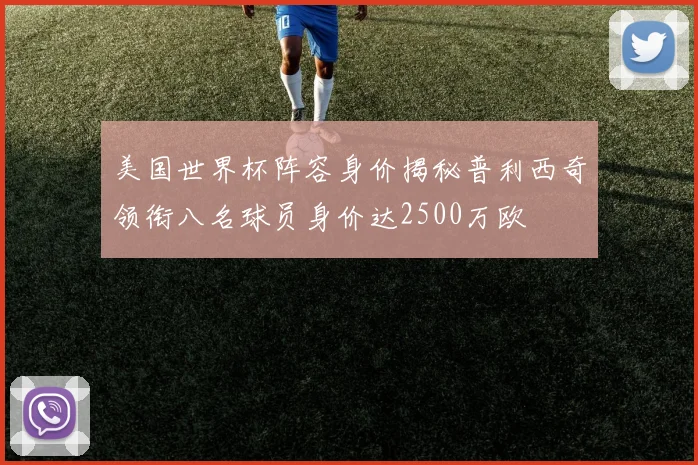 美国世界杯阵容身价揭秘普利西奇领衔八名球员身价达2500万欧