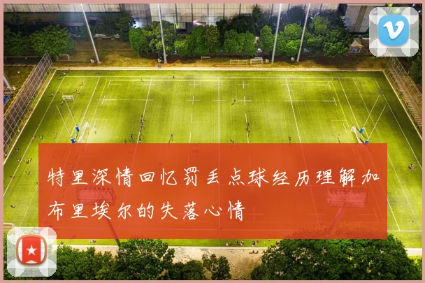 特里深情回忆罚丢点球经历理解加布里埃尔的失落心情